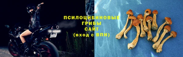 mix Инсар