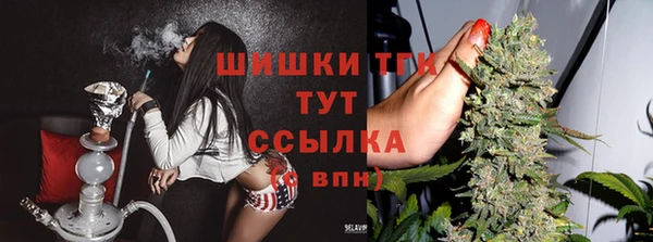 mix Ельня