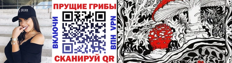 Псилоцибиновые грибы Psilocybine cubensis  Купить закладки  Лангепас 